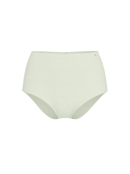 No-Show Modern Brief Panty