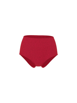 Body By Victoria Flex Shimmer Modern Brief Panty