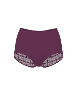 No-Show Plaid Mesh Cheeky Panty