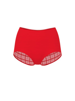 No-Show Plaid Mesh Cheeky Panty