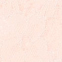 11250660-11T1