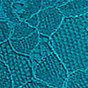 11264952-1WFY