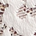 11251140-34Y5