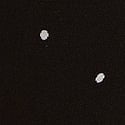 Black Small Dot 