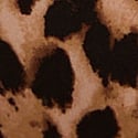 11245243-4OHA