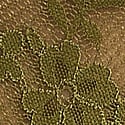 11250669-2DMR
