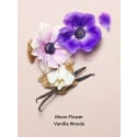Midnight Blooms 