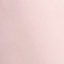 Bare All Pink 