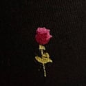 Black Heart Roses 