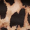 Leopard Print 