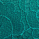 11259394-34M8