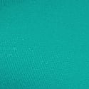 True Teal 