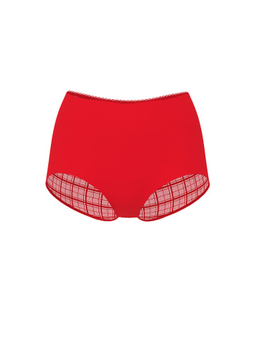 No-Show Plaid Mesh Cheeky Panty