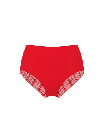 No-Show Plaid Mesh Modern Brief Panty