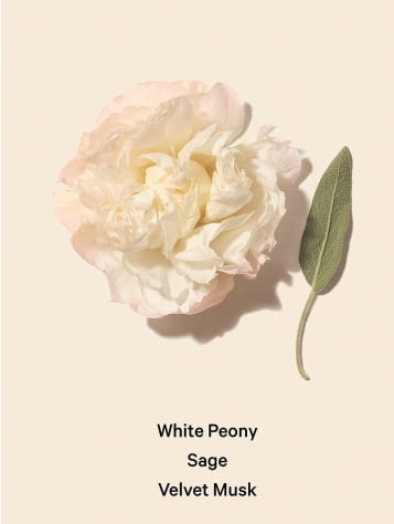 Fine Fragrance Mist