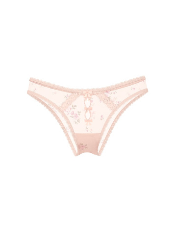 Sheer Lace-Trim Brazilian Panty