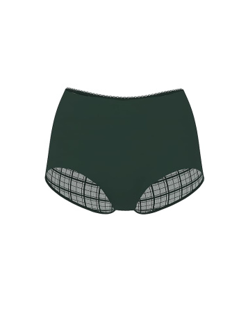 No-Show Plaid Mesh Cheeky Panty