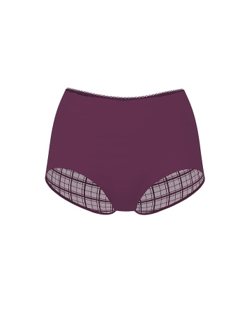 No-Show Plaid Mesh Cheeky Panty