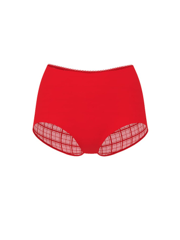 No-Show Plaid Mesh Cheeky Panty