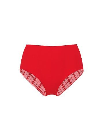 No-Show Plaid Mesh Modern Brief Panty