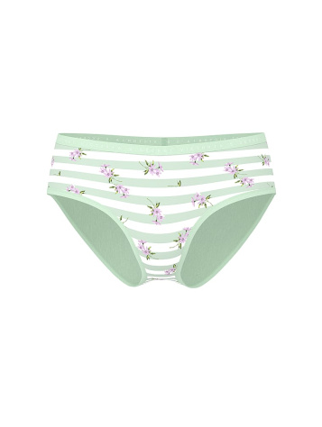 Stretch Cotton Hiphugger Panty
